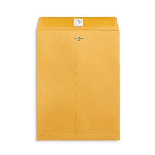Blue Summit Supplies 100 envelopes com fecho de 22,86 cm x 30,48 cm com selo de goma, envelopes de c
