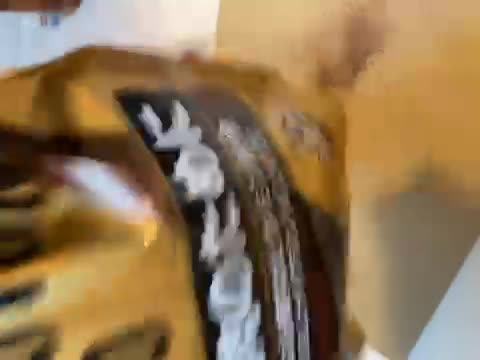 破損あり