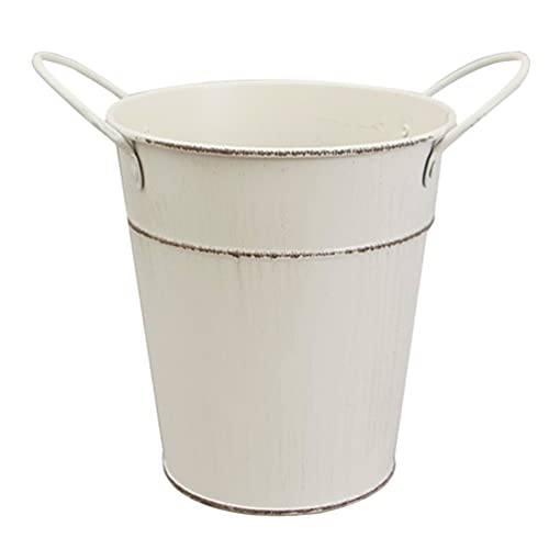 Cabilock Maceta Plantador De Cactus Colgante Colchonetas De Espuma para Niños Titular De La Flor De La Jarra Jardineras De Exterior Decoración Vintage Florero De Hierro Planchar Francés