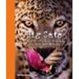 [{ Big Cats: In Search of Lions, Leopards, Cheetahs, and Tigers By Bloom, Steve ( Author ) May - 15- 2012 ( Hardcover ) } ] - Steve Bloom