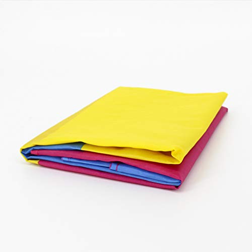 Bandeira do arco-íris de poliéster da PretyzOOM com bandeira pansexual grande