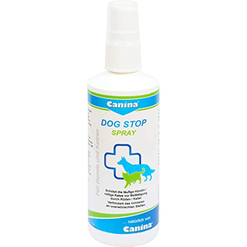 Anti Rutsch Spray Fur Hunde