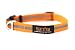 Mighty Paw Waterproof Dog Collar, Biothane Alternative, Smell-Proof Active Dog Gear, Coated Nylon Webbing with Reflective Stripe. (Orange, Medium)