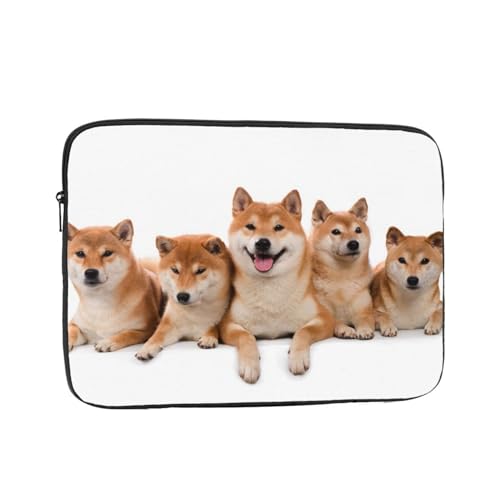 m[gp\RP[X Č   킢   60°ی ϏՌ p\RobO ^ p\RJo[ y Vv ʊw ʋ rWlX jp lC v[g 17 C`