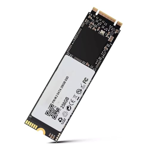 Image of 256GB M.2 2280 SATA III Internal SSD | 6Gb /s Solid State Drive | Up to 550MB /s Read Speed | Laptop & Desktop Compatible| 1-Year Warranty