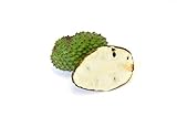 R.Y.S.E Guanabana Fruit Soursop, Graviola, 2-3 Lb