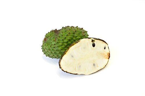 R.Y.S.E Guanabana Fruit Soursop, Graviola, 2-3 Lb