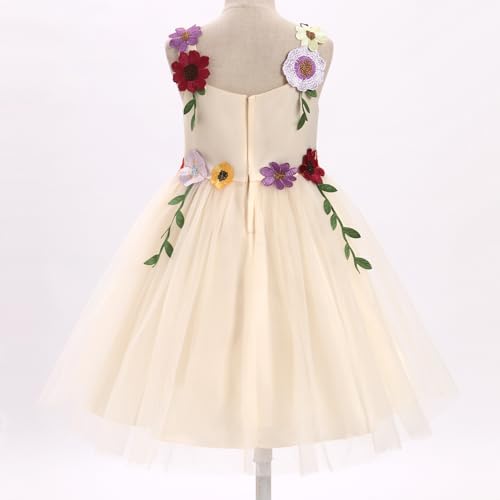 IBTOM CASTLE Flower Girl Dress Toddler Formal Pageant Birthday Party Spaghetti Straps 3D Flower Embroidery Tulle Tutu Dresses4