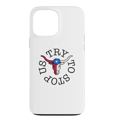 TRY TO SYOP US�r���e�[�W�X�^�C�� �u���t���b�O �X�}�z�P�[�X iPhone 13 Pro Max �p