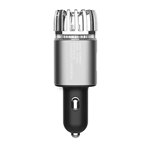 DONROY Car Air Purifier Ionizer with 2.1A Dual USB Charging Ports and Blue LED Indication Light, Ionic Ozone Car Accessories Deodorizer for Eliminate Bad Odor, Smoke Removal Car Ionizer (Silver)