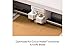 Cricut® Heavy Chipboard - 10 2mm Sheets (11 in x 11 in) - Durable, Versatile Material for DIY Crafts - Compatible with Cricut Maker®
