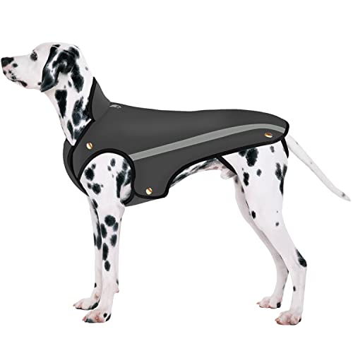 Thundershirt Sport – Gilet Antiansia Per Cani Taglia XS, Color Platino, Calma Paura E Stress Senza Farmaci