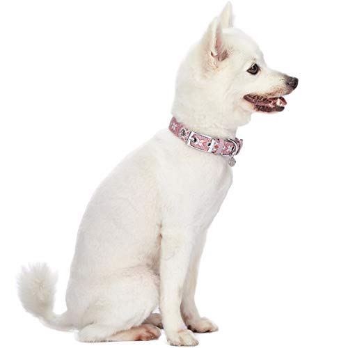 Blueberry Pet 3 Patterns Southwestern Modern Tribal Print Thistle Braided Adjustable Dog Collar With Metal Buckle, Neck 9-12.5", For Small Breed #TOP1