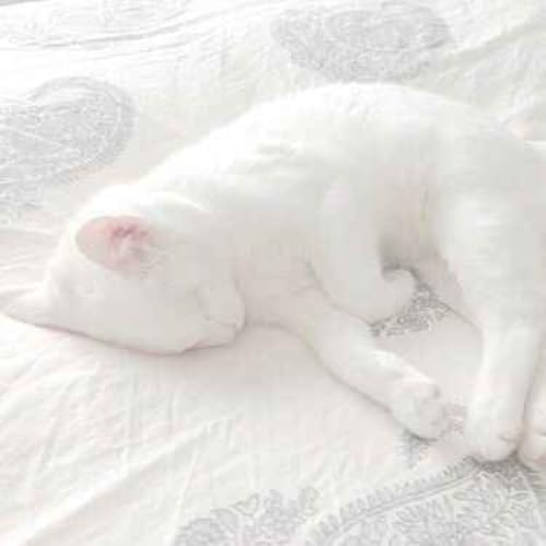 only3me.co cover art