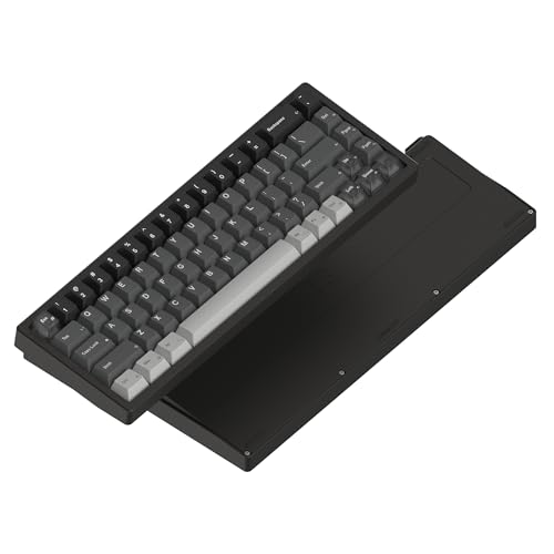 LUMINKEY Magger68 HE �A���~�j�E���Q�[�~���O�L�[�{�[�h ? 68�L�[�R���p�N�g���C�A�E�g�A�J�X�^���}�O�l�b�g�X�C�b�`�ARGB�o�b�N���C�g�A�L��USB-C�ڑ��A�Q�[�}�[&�v�������̑ϋv���̂��郁�^���r���h