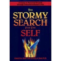 Hardcover The Stormy Search for the Self Book