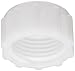 Thogus Nylon Tube & Hose Fitting, Cap, White, 3/4" GHT Female (Pack of 10)