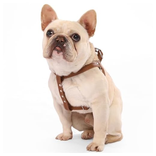 Hundegeschirr Leder Softgeschirr Verstellbare Brustgeschirre Norweger Haustier Ledergeschirr Weichem für Kleine Mittlere Große Hunde (S, braun)