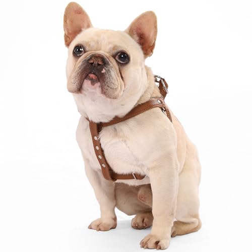 feiling Pettorina per Cani, Regolabile Imbracatura in Pelle, Durevole Harness Cane Taglia Piccola Media Grande Morbido Cinghia Stoviglie (S, marrone)