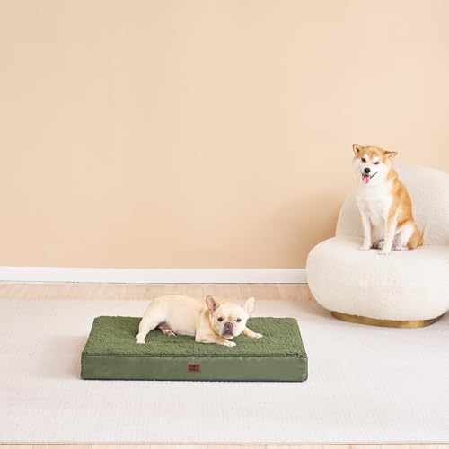 Image of EHEYCIGA Orthopedic Dog Bed Medium with Removable Washable Cover, 30x20