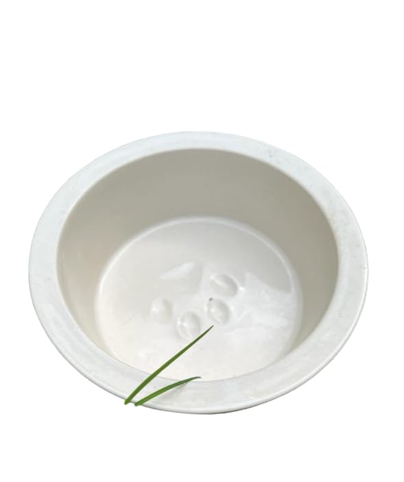Claymistry Ceramic Ivory Water Bowl for Pets, Set of 1 | 20cm * 20cm * 7cm | Glossy Finish | Dishwasher & Microwave Safe | Petware for Dogs and Cats | Food Dishes Feeder for Cats Birds Dogs Puppy (B0CTVFL2T9) Amazon Price History, Amazon Price Tracker