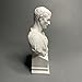 Julius Caesar Roman Bust Sculpture - White Plaster Statue Reproduction for TV Stand, Office Bookshelf, Bedroom & Living Room Decor