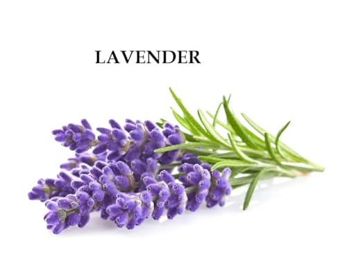 Image of Herbigiri Khadi Lavender & Ylang Ylang Essential Oil Body Wash /Shower Gel, 420ml | Moisturizing Body wash, Soft & Smooth Skin, Effective Cleansing, For Women & Men