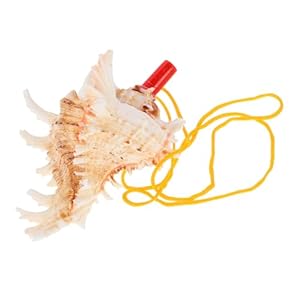 HAMPPLIES Muschelhorn Pfeife für Strandparty