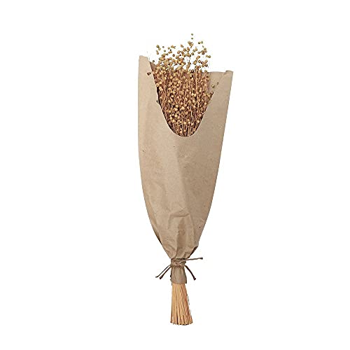 Chaks Bouquet Fleurs DE Lin SÉCHÉES 60CM Naturel