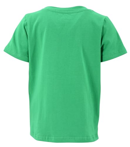 Image of Boys Short Sleeve Funny Graphic Tees for Toddler to Big Kid