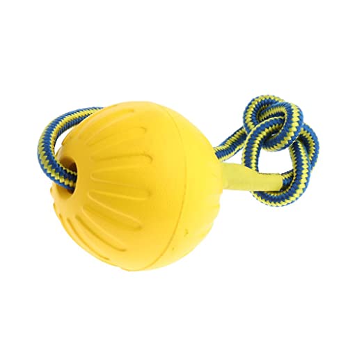 Sdlnklm ybgg[jO{[ޗp[vtEVAfޏv_炩ɗDVтɓKp, L