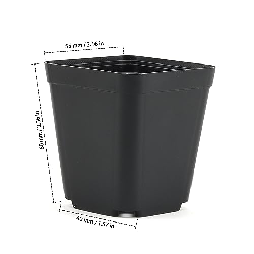 ZEONHAK 200 Pack 5.5cm Small Square Black Plant Pot, 2 Inch Mini Plastic Garden Flower Planter Pots for Plants, Succulents, Seed Nursery - Image 2