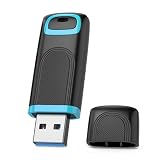 RAOYI 256GB USB 3.0 Flash Drive Thumb Drive High Speed Memory Stick Jump Drive Portable Zip Drive for PC Laptop Backup