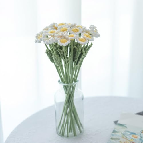 seimeinoki fCW[  ю̉ 10 40cm j҂ lH qiMN i tFCNfCW[ ͂Ȃ 킢 lHϗtA ҂ ԑ e   ҂݃u[P CeA a LO v[g