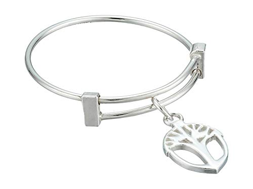 Alex and Ani Precious Expandable Wire Ring Silver Unexpected Miracles One Size