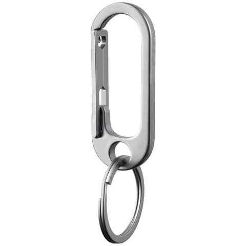 Prometheism Stainless Steel Keychain, Keyring Clip Holder Organizer for Home and Car,Carabiner Keys Finder (Stainless) Cover
