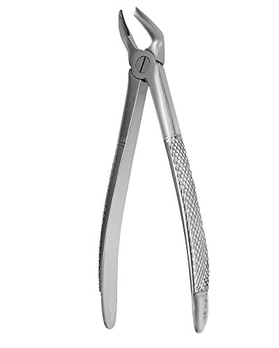 Extracting Forcep English PatternRoots & Mola #76S