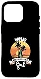 Napoli in Florida Designs