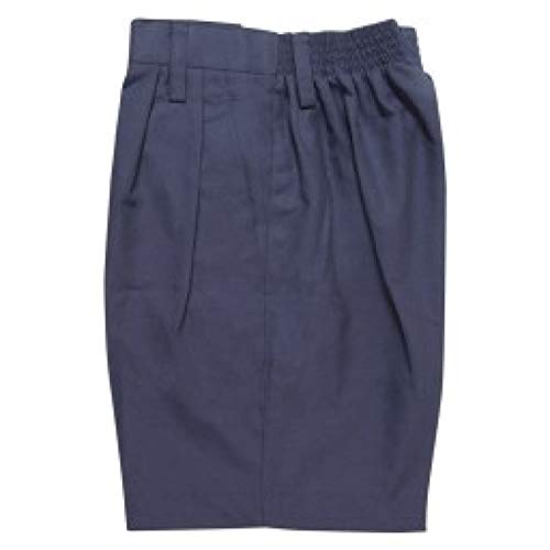Buy PROLIFE KENDRIYA VIDHYALAYA Uniform 