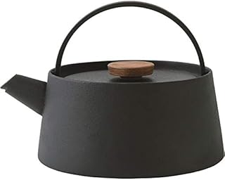 池永鉄工 NEW tetu 南部鉄器 鉄瓶 IH対応