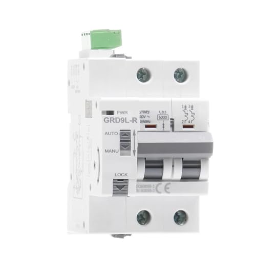 Reconectador doméstico 2P 25A y disyuntor con reenganche automático 63A 2