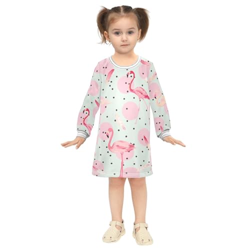 Flamingo Dot Girls Dresses Long Sleeve Sweatshirt Dress for Girls Winter Toddler Casual A Line Dresses Size 2-8T4