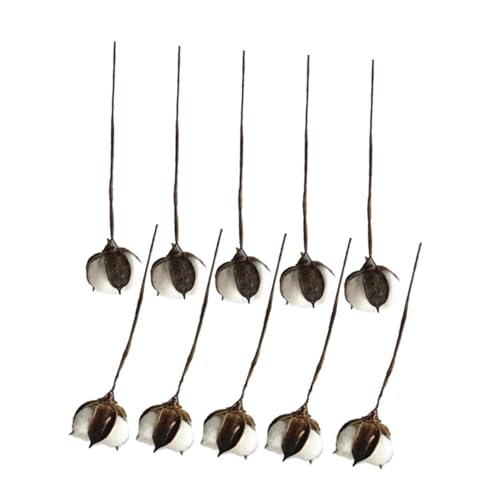 TOPPERFUN 10lHԑ Rbgs AȃV~[Vt[ z[fR[Vp tFCNRbgt[AWg NX}X