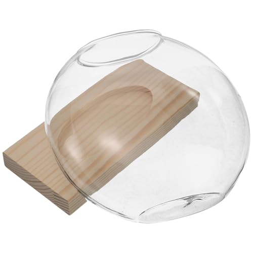 UPKOCH Pot Hydroponique en Verre Transparent Rond avec Socle en Bois Naturel Vase de Culture Hydroponique pour Plantes D’intérieur, Bureau et Décoration Station de Propagation pour Herbes
