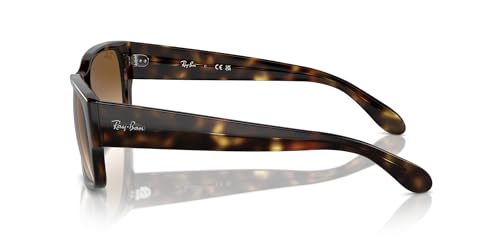 Image of Ray-Ban RB4388 Square Sunglasses