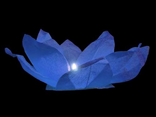 LP Divertissements Lot de 12 - Lanterne Fleur de Lotus Flottante Bleu