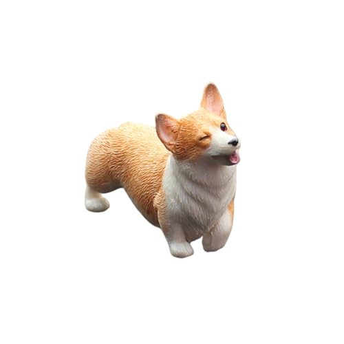 R[M[ tBMA  踑 ̒u ~j`A 炵p (FƔ̓_ŃR[M[)