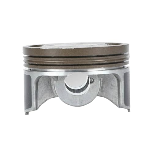 62 ~[gsXgƃsXgOLbg 1P62YML-2 GWԃI[goCiƌ݊ ZS 190cc Z190 W190 _[gsbgoCN ATV Nbh(C)