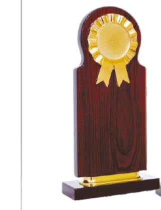 Corporate Momentos Medium Trophy for Any Event Such as Corporate Function Trophy,Office Events and College Events etc (CP52 M) (B0D9XY5SFT) Amazon Price History, Amazon Price Tracker