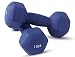Neoprene Dumbbell Pairs by Day 1 Fitness - 12 Pounds - Non-Slip, Hexagon Shape, Color Coded, Easy To Read Hand Weights for Muscle Toning, Strength Building, Weight Loss